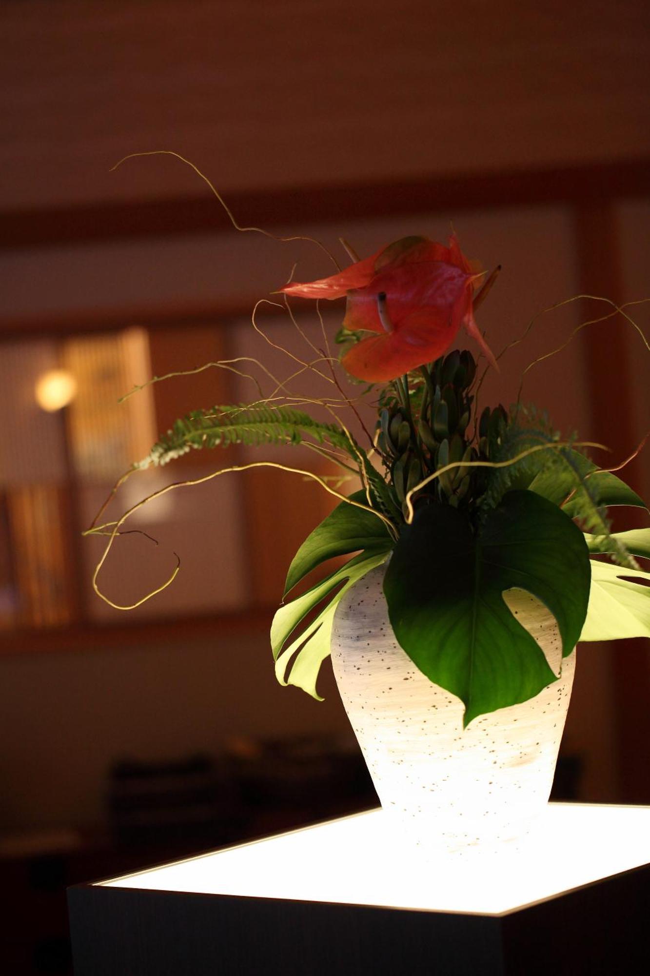Kyo Yunohana Resort Suisen Kameoka Kültér fotó